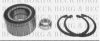 VW 357498625C Wheel Bearing Kit
